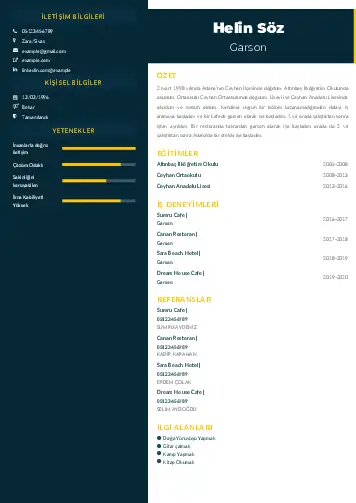 cv indir